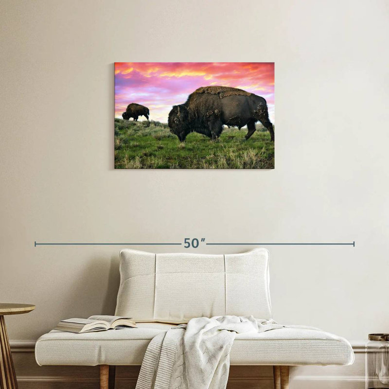 Brampt Bison And Buffalo, 20" H x 30" W