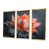 Toile avec cadre flottant or