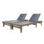 Scheiner 24'' Outdoor Acacia Chaise Lounge-451098116