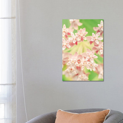Summer Botanical II by Olivia Joy StClaire - Wrapped Canvas Print