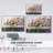" Spring Is Here "-1210496446-1210496321
