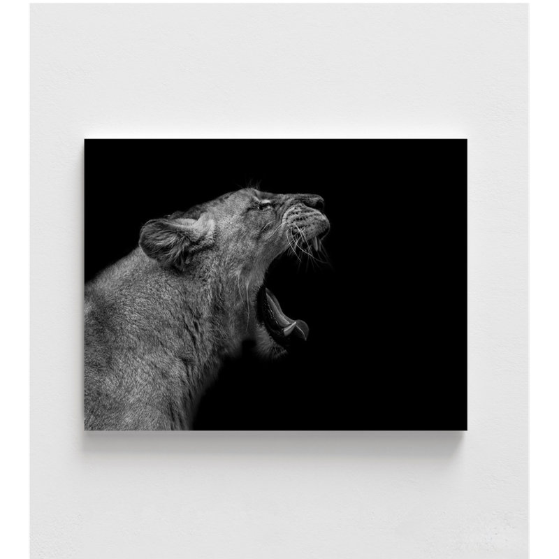 «Lionne In Low Key» par Nauzet Baez, Noir, Reproduction encadrée sans passe-partout, H 12 po x l 16 po