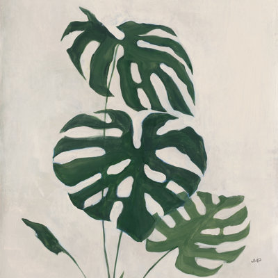Palmier botanique I