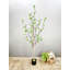 Arbre artificiel artificiel-1679349350