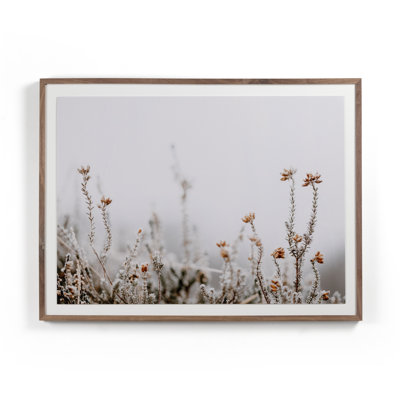 In the Details II Framed Photographic Print