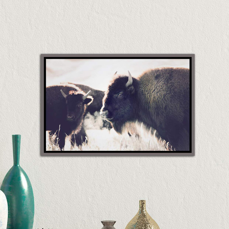 Photographie buffalo, Toile encadrée de bois rustique foncé, H 18 po x l 26 po x P 1,5 po