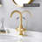 2-handle Bathroom Faucet with Drain Assembly