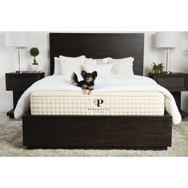 PlushBeds Botanical Bliss  Medium Organic Latex Mattress, Twin, 10"
