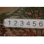 Tapis antique 3 x 4