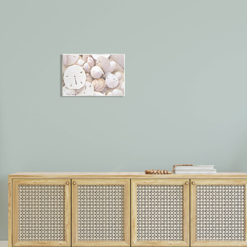 «White Mixed Sand Dollar Shells» par Lil 'Rue - photographie sans cadre sur panneau de fibres à densité moyenne