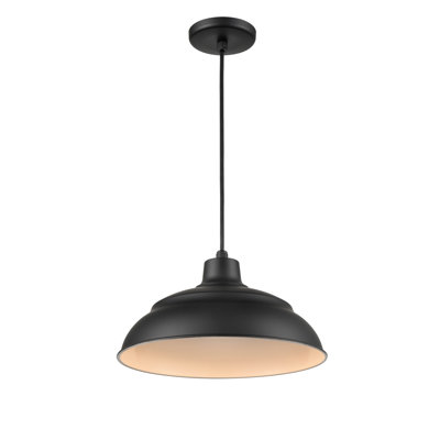 Luminaire suspendu en forme de dôme 1 lumière DEL RLM