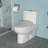 Ceramic One Piece Toilet,Dual Flush With Soft Clsoing Seat