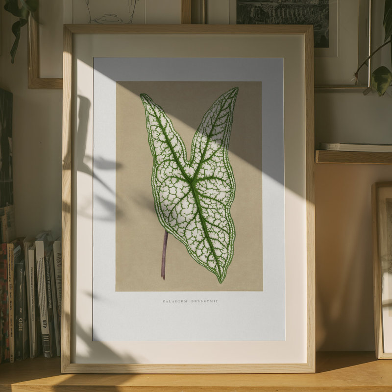 Wrapped Canvas Print, 91.44 cm H x 60.96 cm W