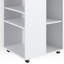 Calex 59.4cm Wide Mobile File Cabinet