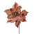 Or rose