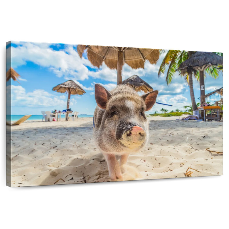 Dirty Pig On The Beach, 24" H x 36" W