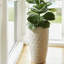 Nereus Handcrafted Round Ceramic Planter-1312301833
