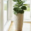 Nereus Handmade Ceramic Planter-1312301833