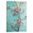 Wrapped Canvas