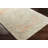 Hiers Oriental Indoor Rug-569375357
