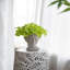Jardinière en ciment de style grec - décor de jardin intérieur et extérieur, P 7 po x 11 po