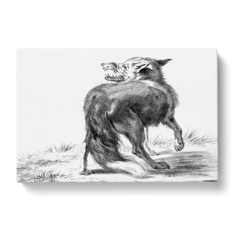 Sketch of a Fox by Jean Bernard - Wrapped Canvas Drawing Print, 40cm H x 60cm W x 3cm D