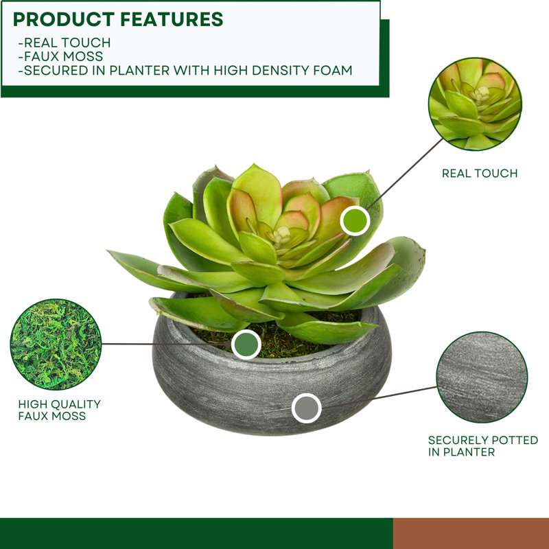 Jardinière avec succulent Echeveria artificielle, Gris, Vert