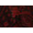 Afghan Akhche Red Rug