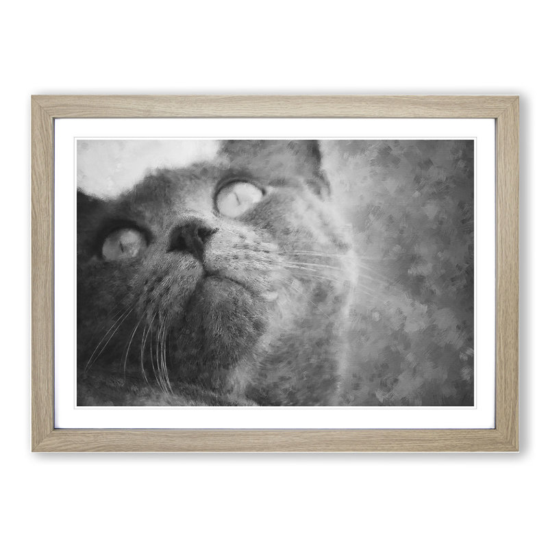 British Shorthair Cat Vol.3 - Picture Frame Painting, 27cm H x 36cm W x 2cm D, Oak