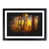 Black Framed