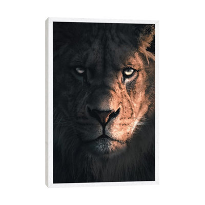 Lion Portrait by Zenja Gammer - Print on Canvas