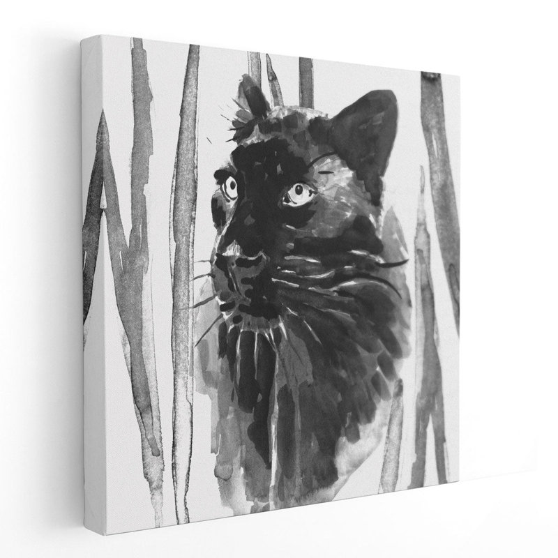 «Still Cat I», impression sur toile, H 40 po x l 40 po