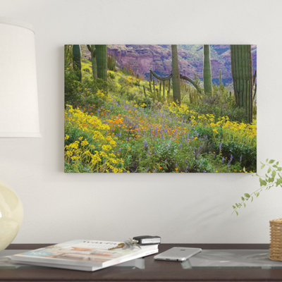 « saguaroo lupining lupining, brittlebush de la californie, cactus pipe, organe national, arizona et recouverts golden pops i », reproduction de photo sur toile