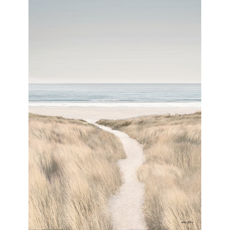Coastal Dreams II par Amber Sterling, H 30 po x l 20 po