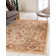 Cevenola Oriental Indoor Rug