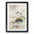 Black Framed selected