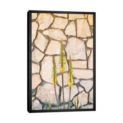 Palm Springs Blooms 1 Piece Wall Art on Canvas