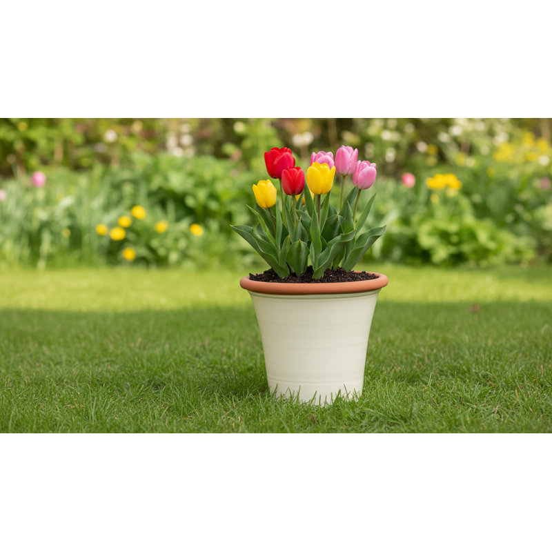 Kitchen Planter, 30" H x 33" W x 33" D, Cream/Orange