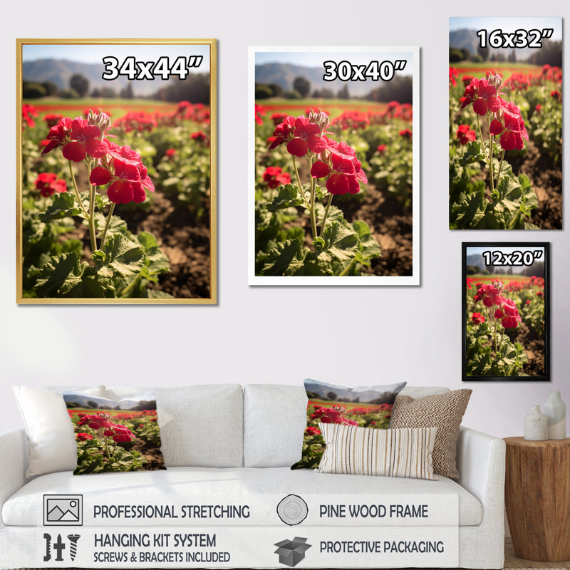 Photo Og Geraniums Field I sur toile, H 40 po x l 30 po x P 1,5 po, Cadre doré simple