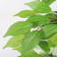 Ficus artificiel 72 po en pot