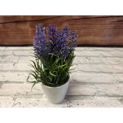 Lavender Arrangement in Pot