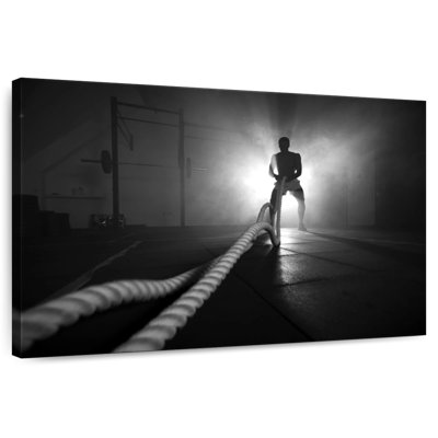 Sireci Gym Battle Rope