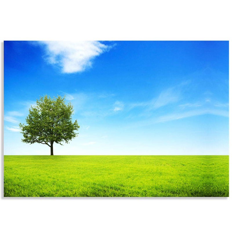 Peel & Stick Border, 66" L x 96" W