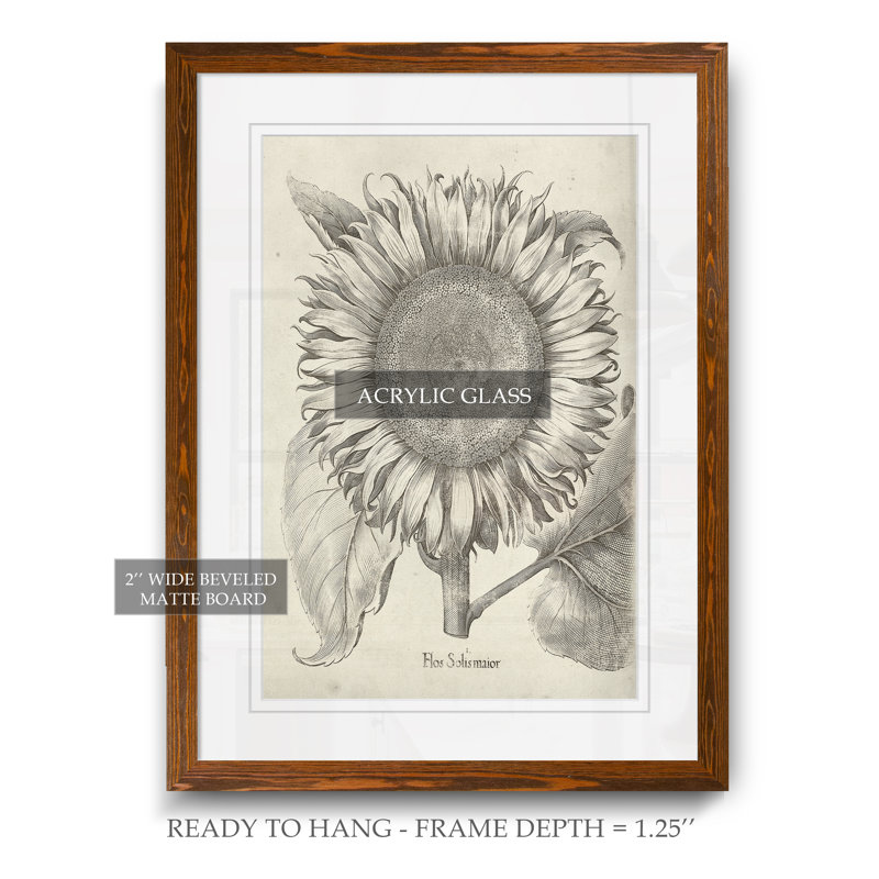 « fresco-tournesol i » par paul cezanne-reproduction d’art sur image, H 28 po x l 38 po x 1,25 po, Papier avec cadre érable