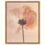 Amber Radiance II Print by Oliver Gal-322715314-322715323