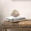 Triton Shell Blown Glass-1516507953
