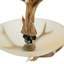 Bersa 3-Head E26 Antler Shape Resin Chandelier Adjustable Height