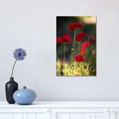 Morpheus Ascending 1 Piece Wrapped Canvas Wall Art