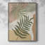 Impression encadrée Mid Century Palm II - bois massif-257880434