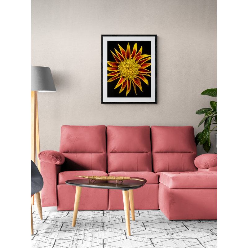 Gazania Print by Harold Davis, 32" H x 24" W, Wrapped Canvas